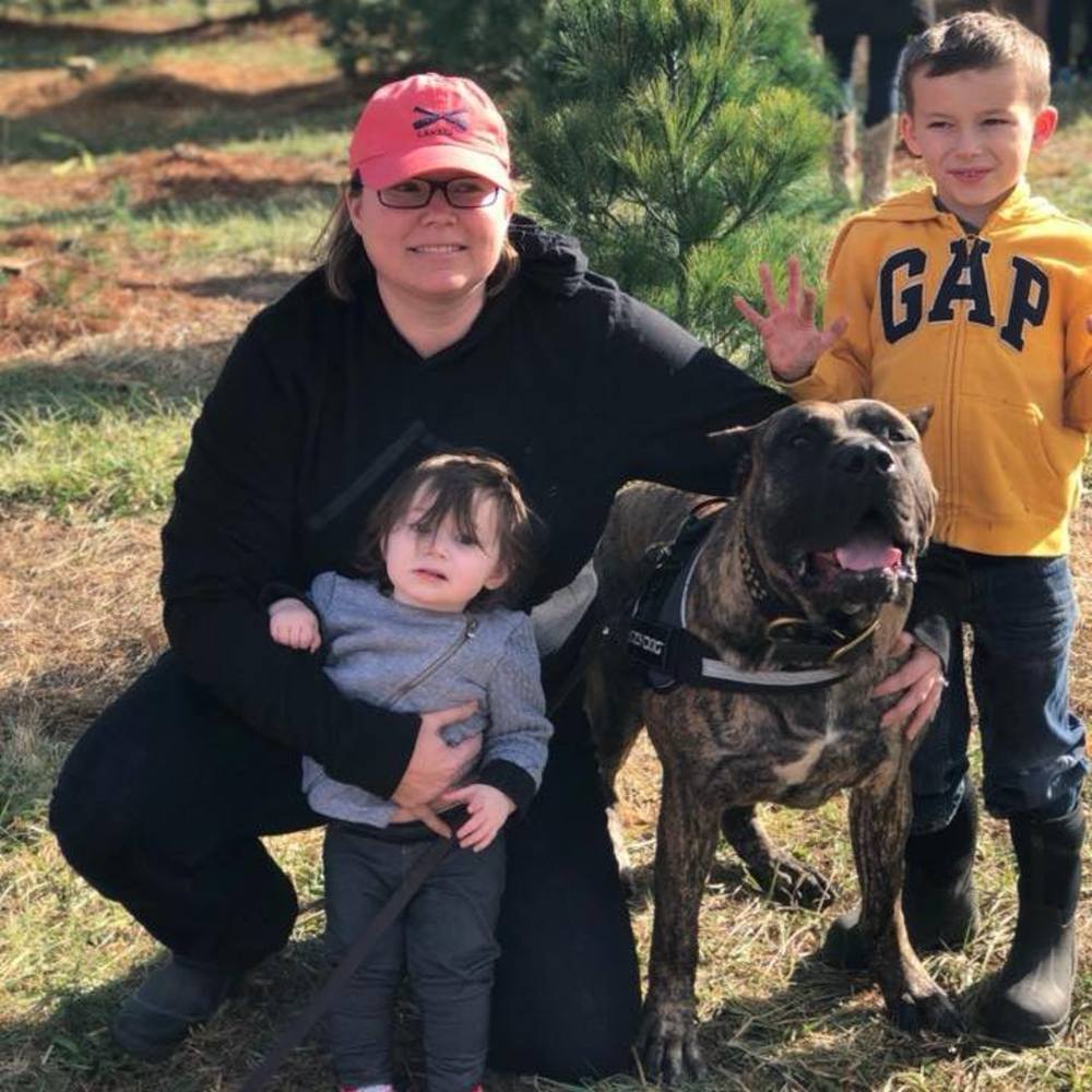 Meet your Posher, Teal